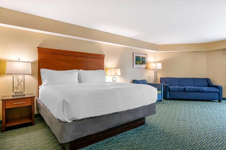 DOUBLE EXECUTIVE KING BED Room
