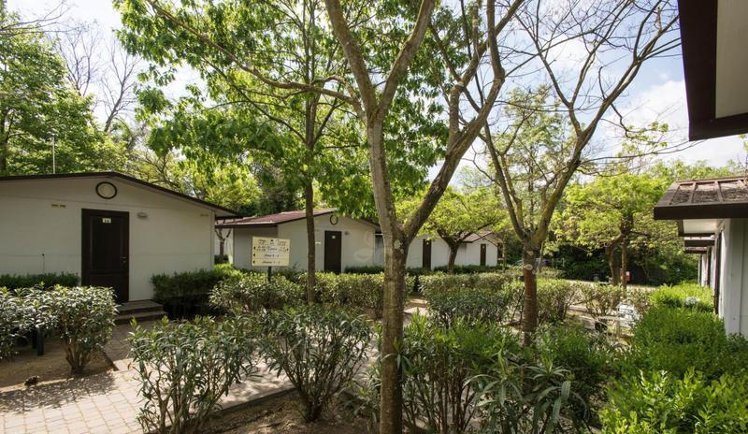 BUNGALOW CAPACITY 2 Room