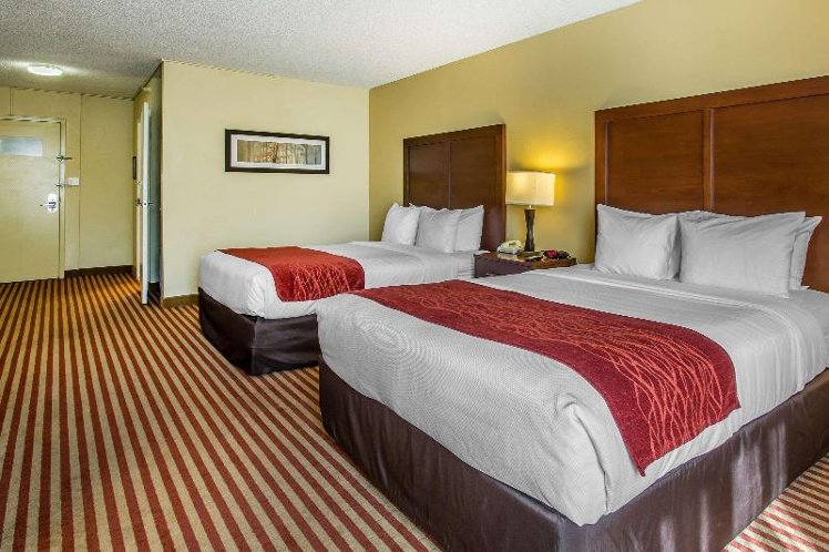 DOUBLE TWO QUEEN BEDS NON SMOKING Room