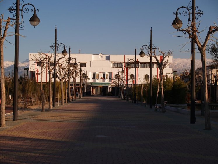 Slide image