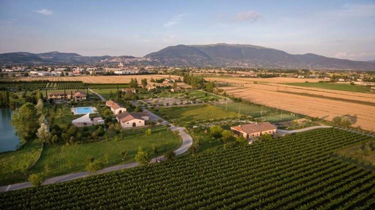 General view