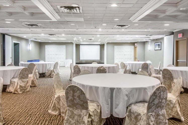 Conferences