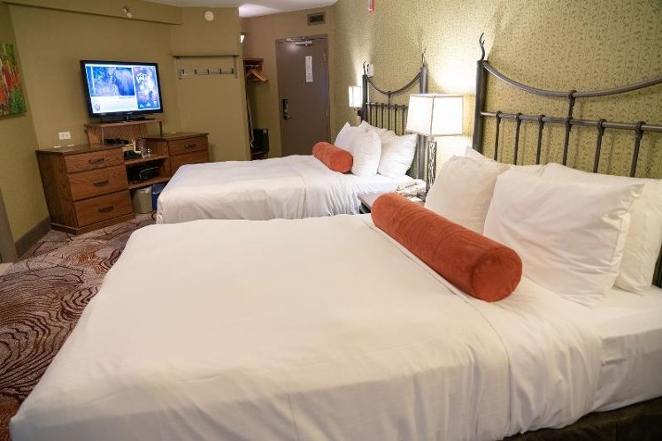 Room TWO QUEEN BEDS Room