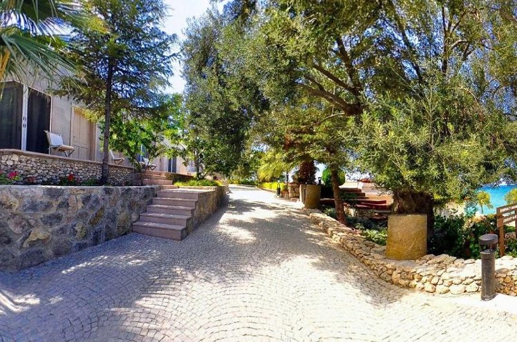 Holiday image