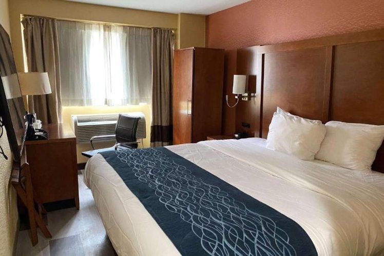 Room Accessible-Queen Size Bed Room