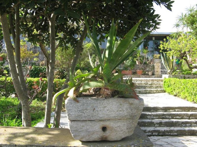 General view