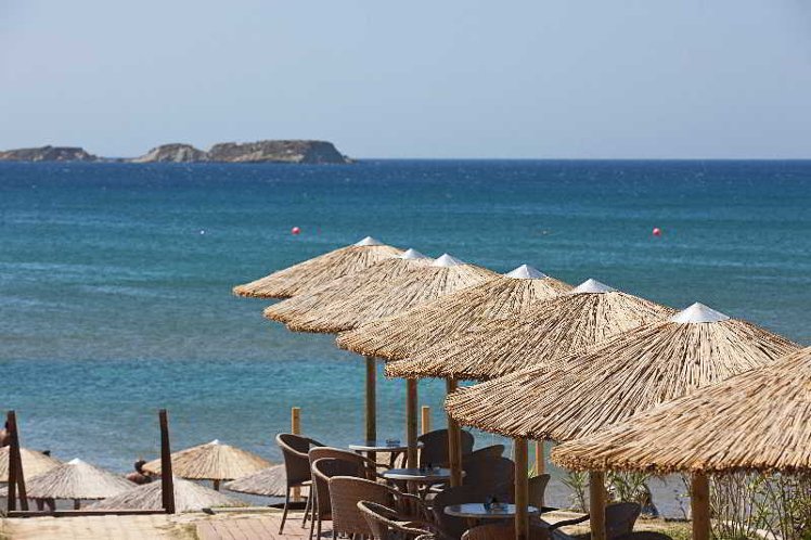 Holiday image