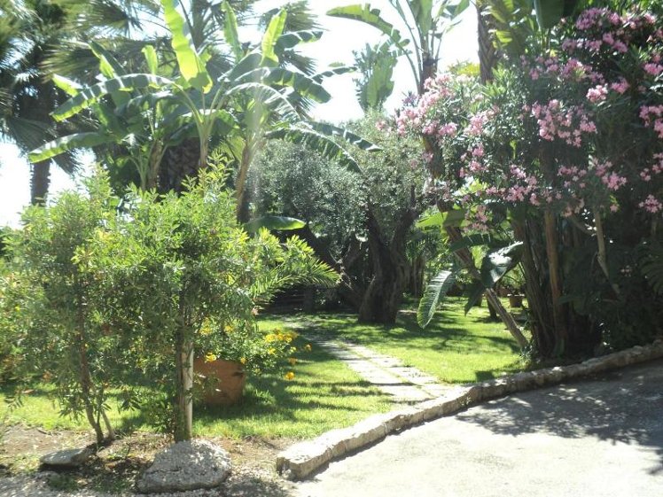 General view