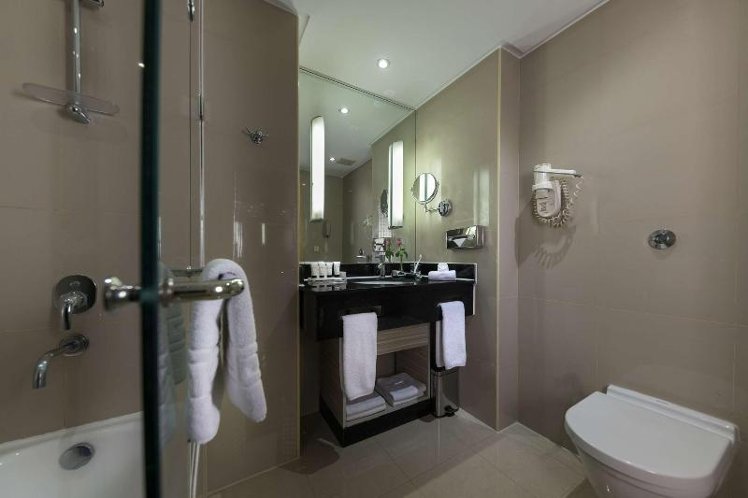 DOUBLE EXECUTIVE KING BED Room