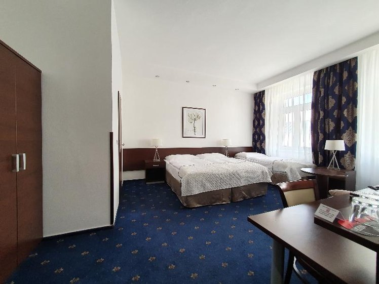 TRIPLE DELUXE Room