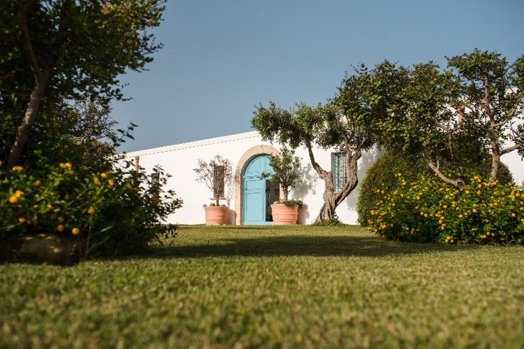 Holiday image