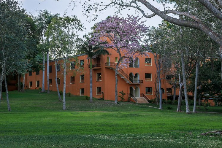 Slide image