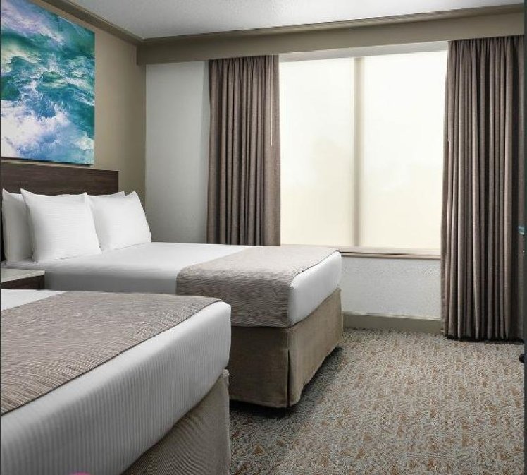 SUITE QUEEN SIZE BED Room