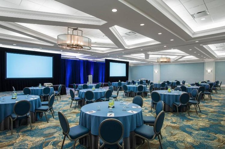 Conferences