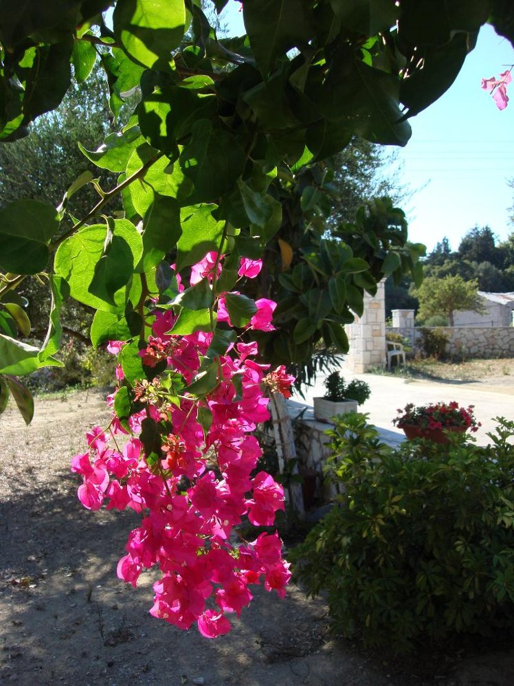 Holiday image