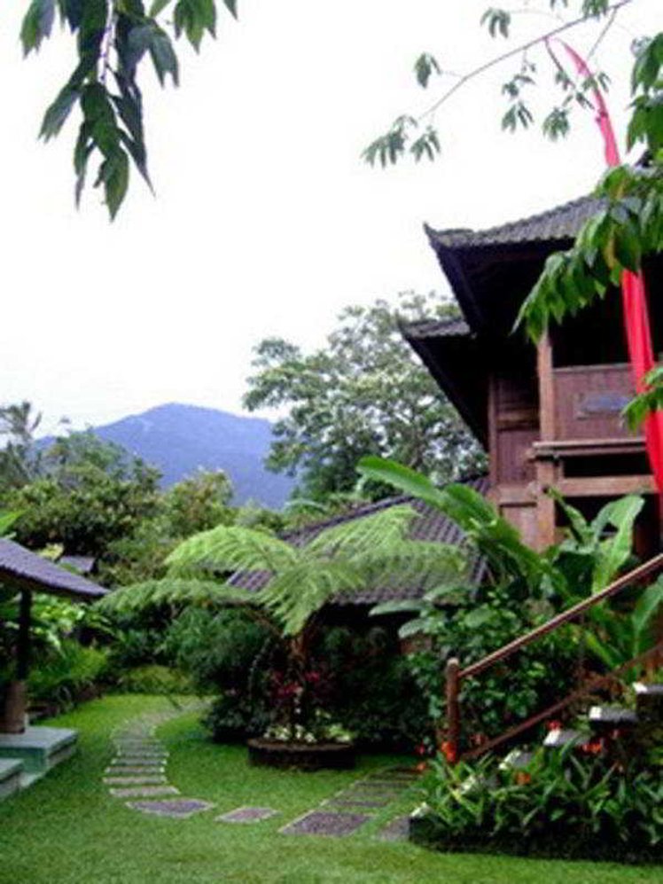 General view