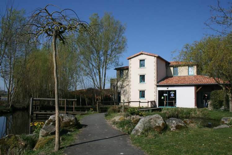 Slide image
