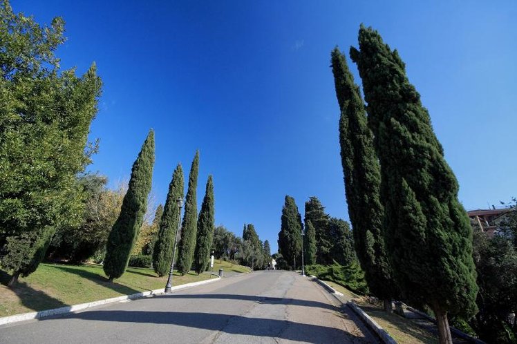 General view