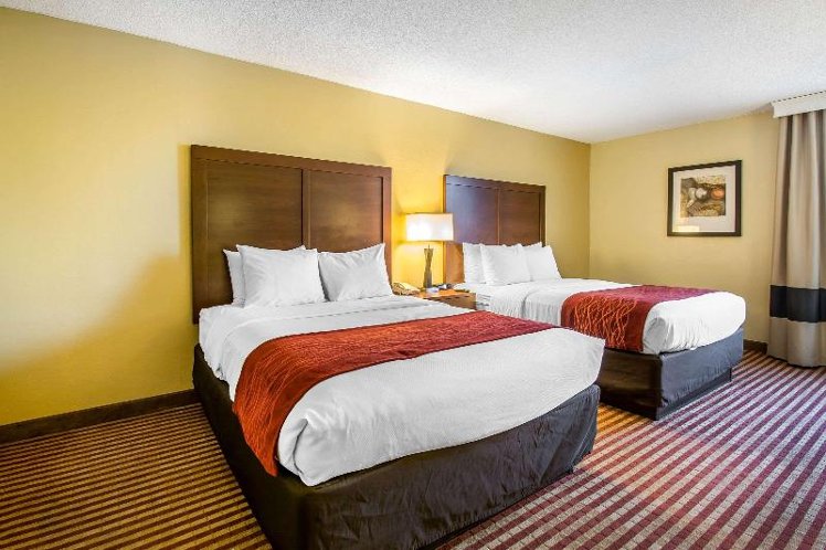 DOUBLE TWO QUEEN BEDS Room