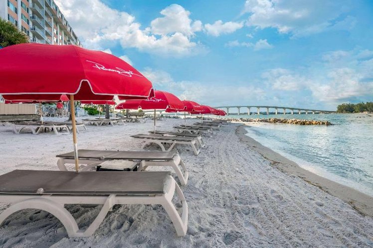 Winter the Dolphin's Beach Club