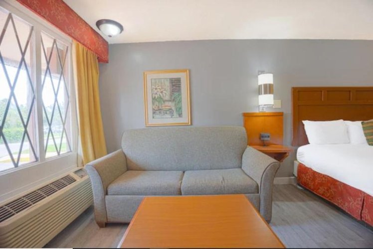 SINGLE KING SIZE BED Room
