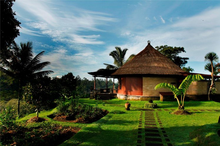 Holiday image