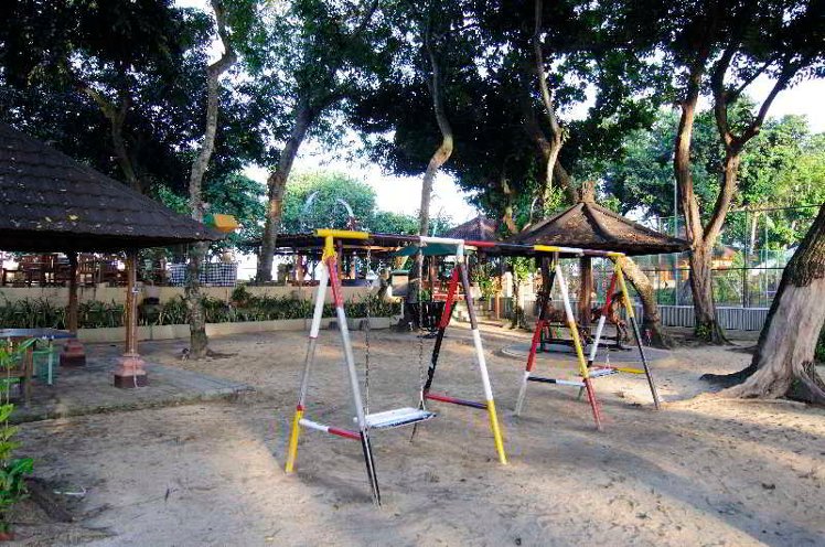 Slide image