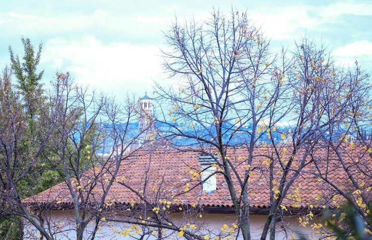 General view
