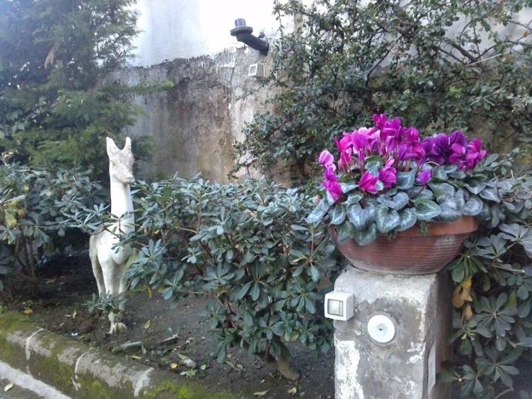 General view