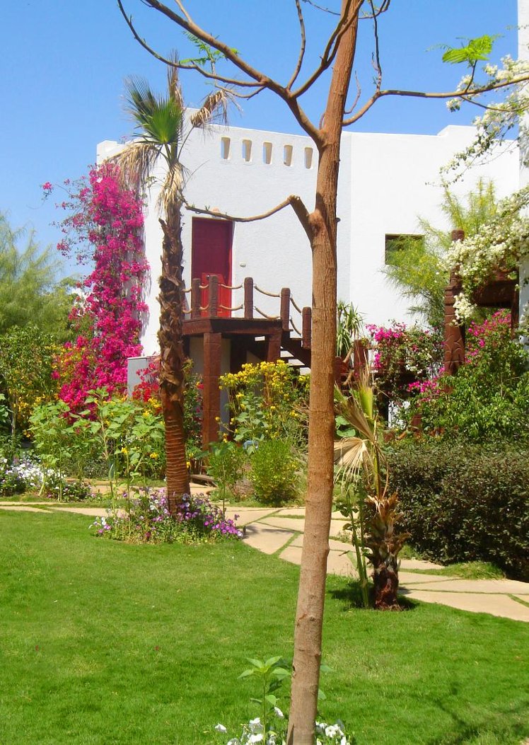 General view