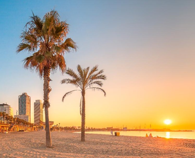 SB Icaria Barcelona