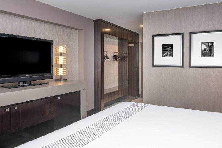 DOUBLE EXECUTIVE KING BED Room