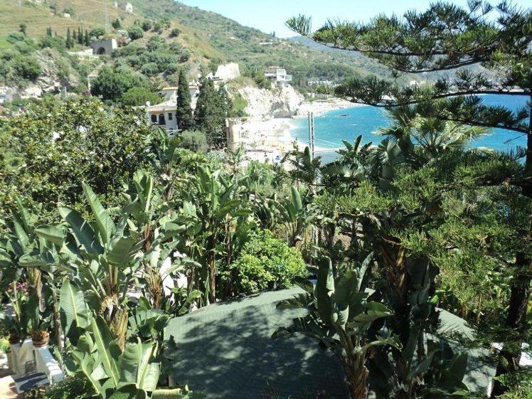 General view