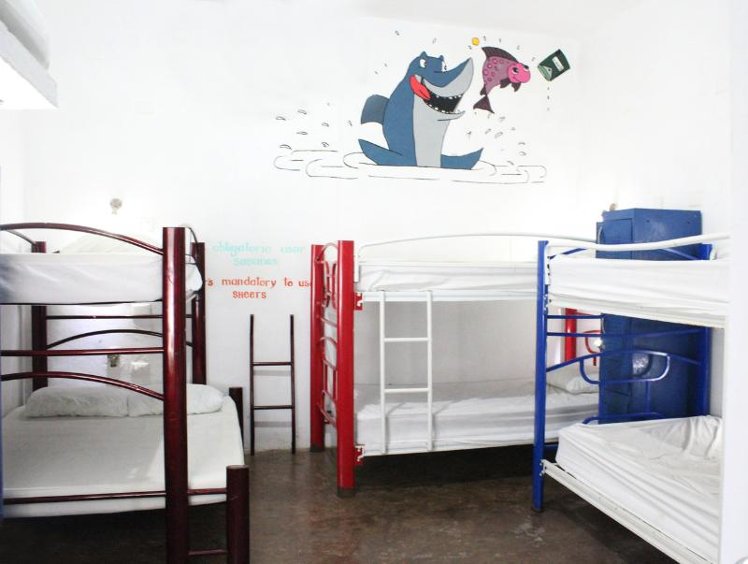 Bed in dormitory BUNK BED WITH SHARED BATHROOM Room