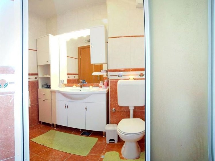 Apartment Branka