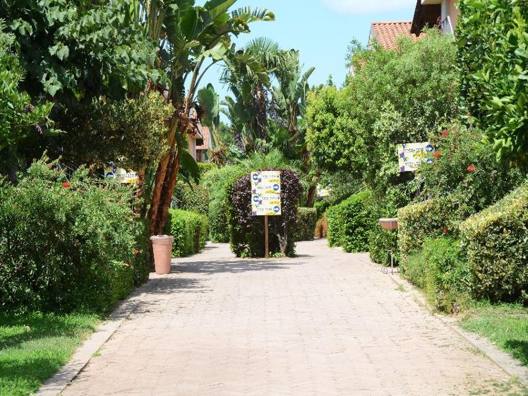 General view