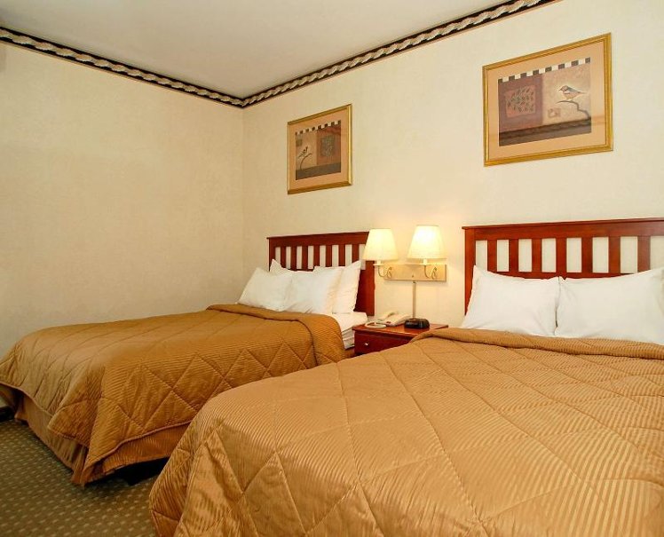 DOUBLE TWO DOUBLE BEDS Room