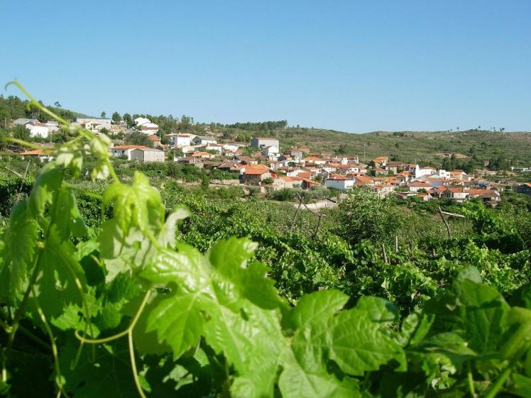 General view