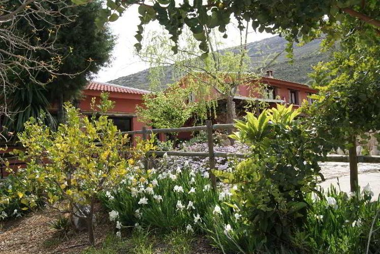 General view