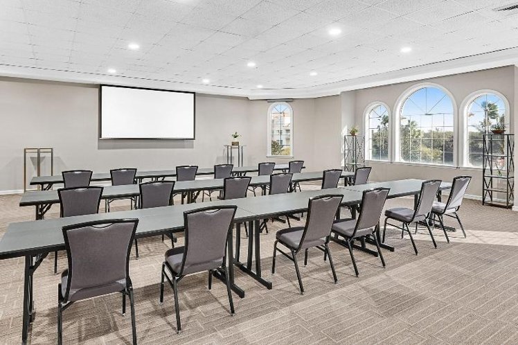 Conferences