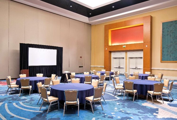 Conferences