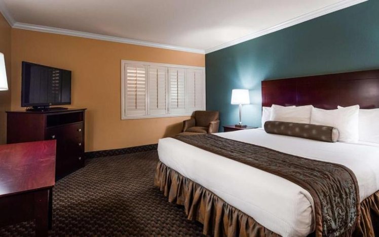 Room KING BED NON SMOKING Room