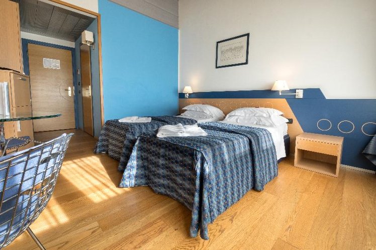 DOUBLE SINGLE USE STANDARD Room