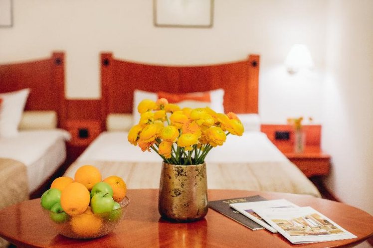 TWIN DELUXE Room
