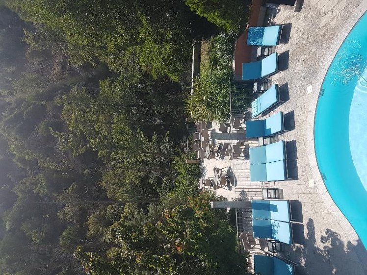 Holiday image