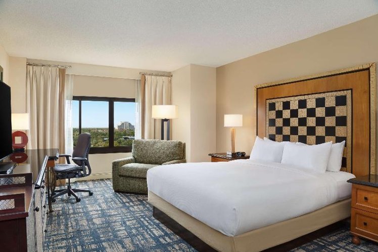 DOUBLE GUEST ROOM KING BED Room