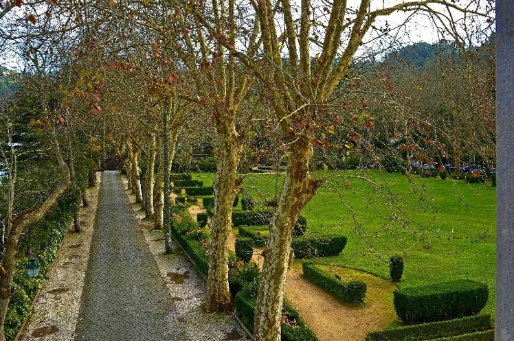 General view