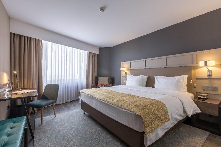 SUITE EXECUTIVE KING BED Room