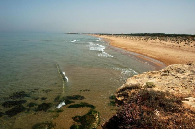 General view