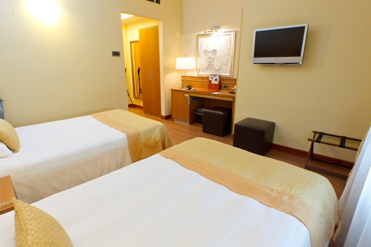 TWIN EXECUTIVE Room